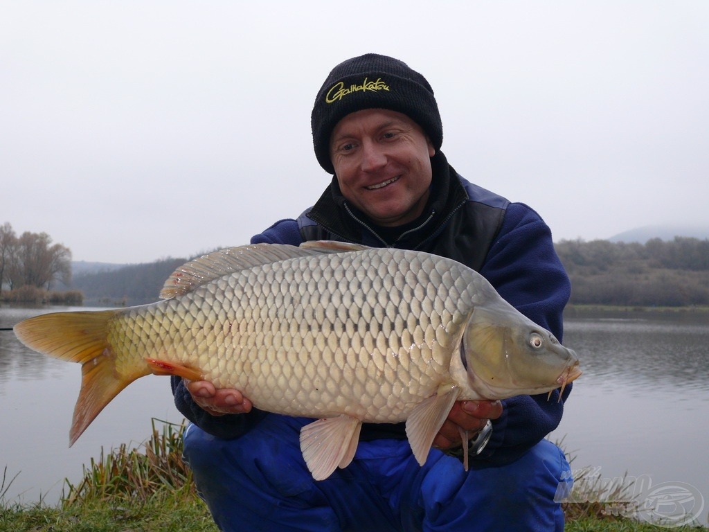 A második pelletevő ponty, ez már nem véletlen!!! Súlya 3,3 kg