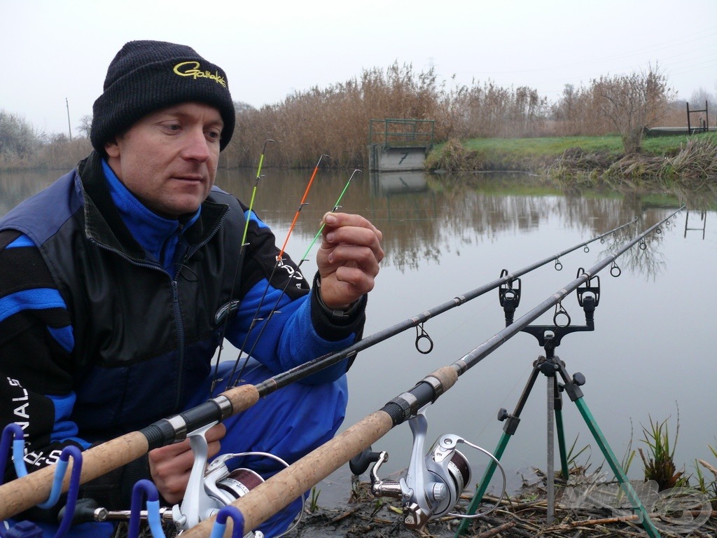 A Spro Pellet Feeder 390H és 420H botokat választottam, melyek végébe a közepesen erős (medium), zöld színű spiccek kerültek