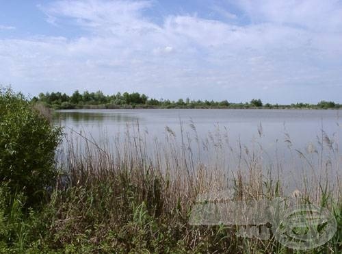 A tó délnyugati sarka a közelebbi parkoló felett