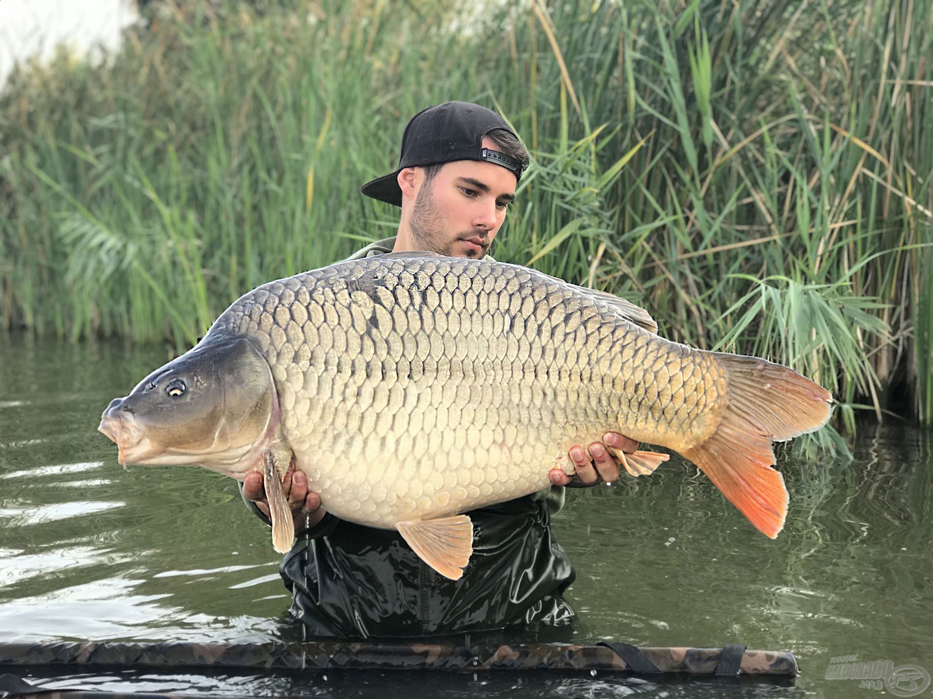 Egy termetes „tányér” a maga 17 kilogrammjával