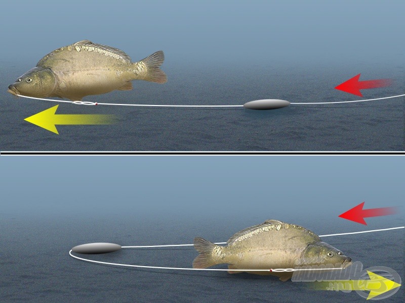 Ha a csúszó súly elég nagy, és ha a zsinór komolyabb ellenállás nélkül áthúzható rajta, akkor a hal bármilyen irányú elmozdulásakor „kihúzós” kapást tapasztalunk