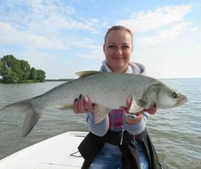 Horgászbottal a Tisza-tavon