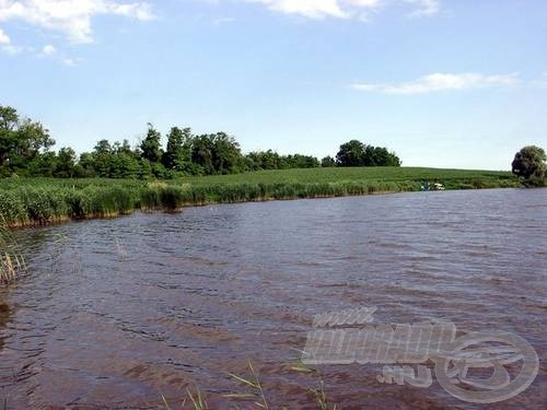 Gát fölötti nyugati oldal: az egyik napijegyes rész. Nem túl hosszú, de általában elég. Balra vastagabb nádas vert gyökeret a sarokban, állítólag jó hely az is, de nem próbáltuk, mert kevés vizet találtunk előtte