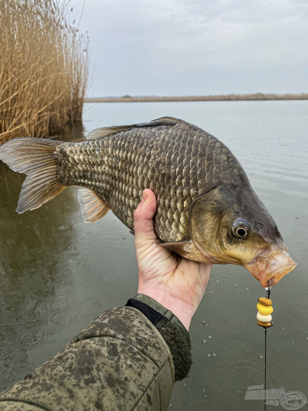 Napközben a nagy kárászok is megnehezítették dolgunkat