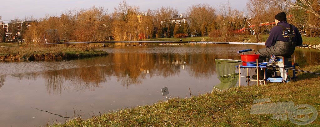 A Stradivari Tournament Carp színe kék…