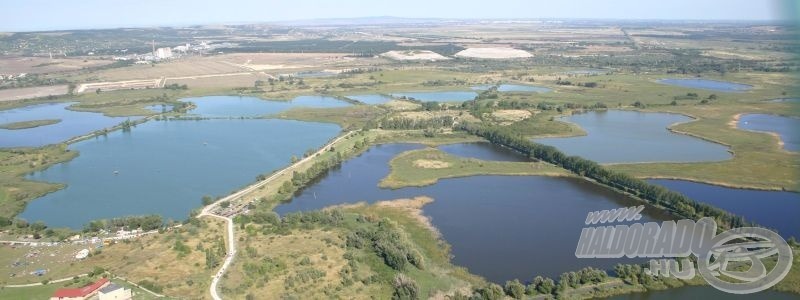 I. Nagybivalyos bojlis kupa - Versenykiírás