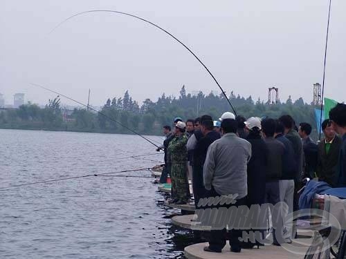 Közben nem messze tőlünk az egyik helyi spori egy komolyabb halat akasztott