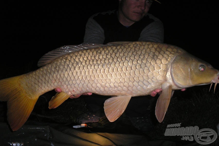 Egy gyönyörűséges nyurga (5,6 kg)… Hoppá! Még a képből is kilóg