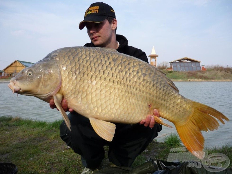 Kutyifa Ferenc (Zadravec Team)