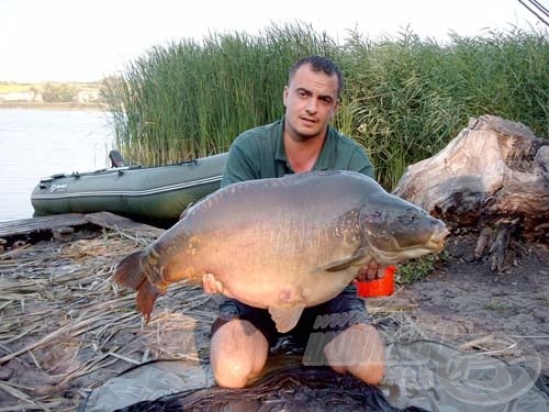 Ez a 22,8 kg-os tükörponty lett a verseny legnagyobb hala.