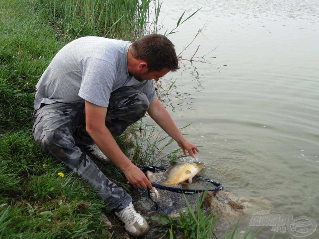 Feri számára ez természetes, hiszen imádja ezt a tavat és minden lakóját