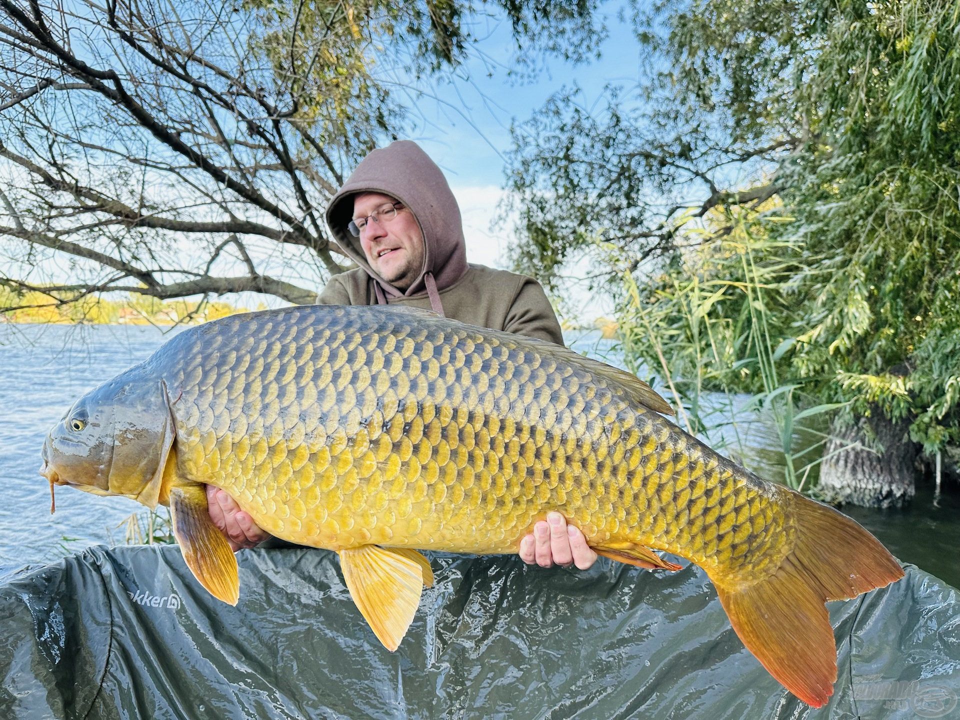 22 kilogramm tömör gyönyör