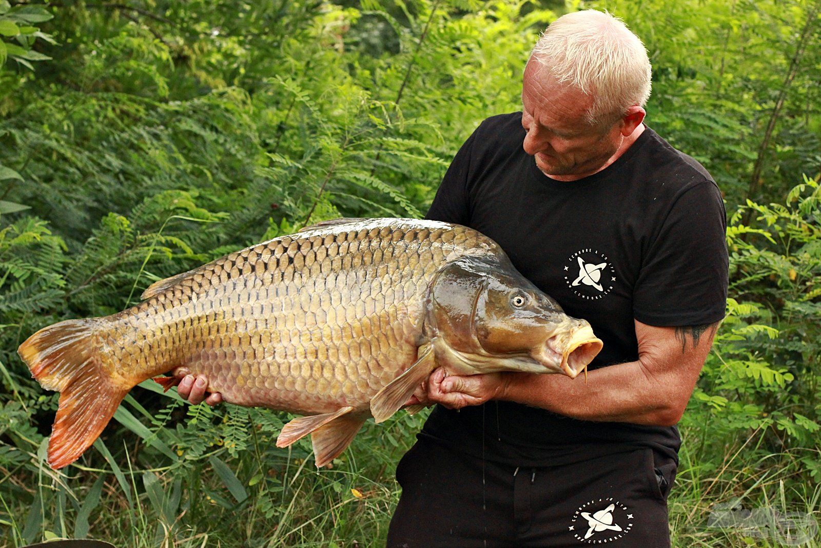 Túrám legnagyobb hala ez a gyönyörű, 18,50 kg-os töves volt