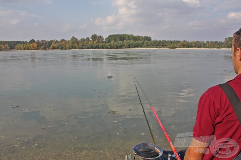 … a spiccfölé dobva pótlásként