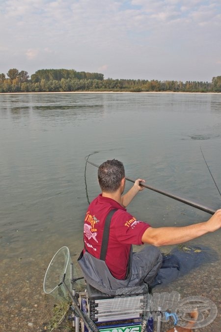 Azonnal a víz tetején a jász a gyors vízben