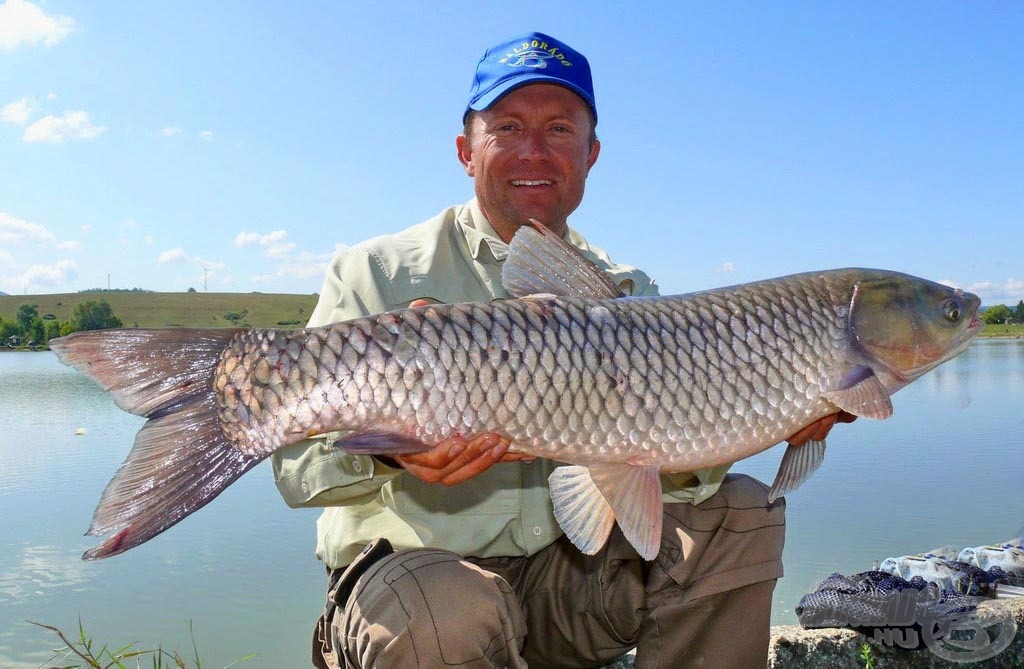 … a középső szektorban pedig Döme Gábor. Balázzsal ők ketten tudtak a nap során egyedül 50 kg fölé menni fogási eredményben! Itt éppen egy szép amurt tart a kamera elé Gábor