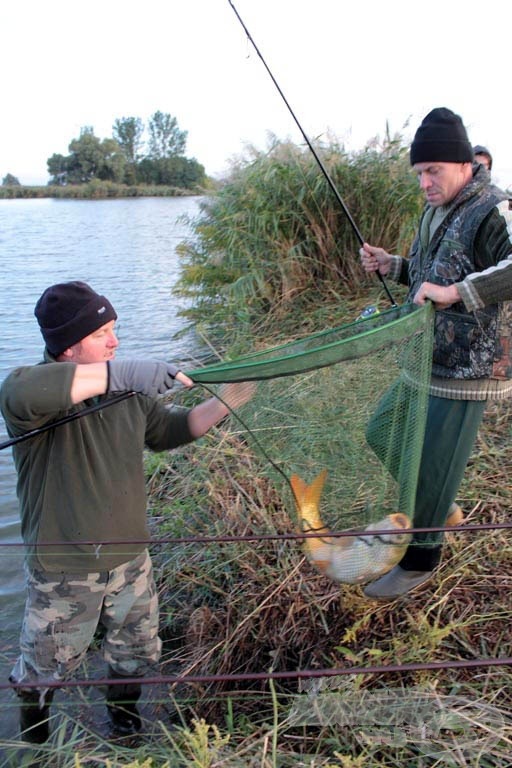 Munkában a SUFIX Team Kecskemét