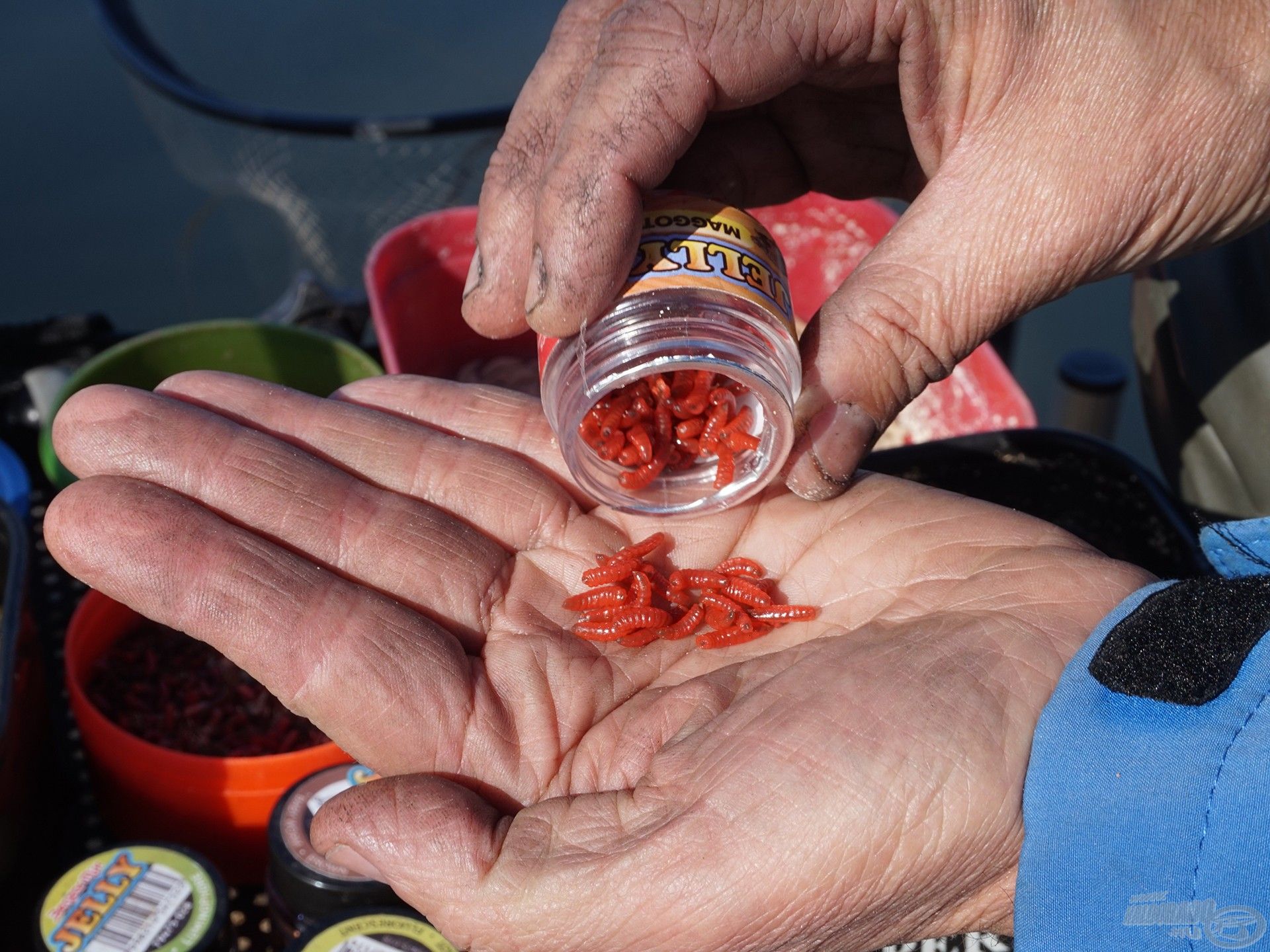 Az egyik kedvencem, a piros Jelly csonti. A horgászboltokban gyakran kevés az élő között a piros, ezért is van nálam ebből mindig. Az egyik legjobb csali az egy fehér, egy piros kombináció