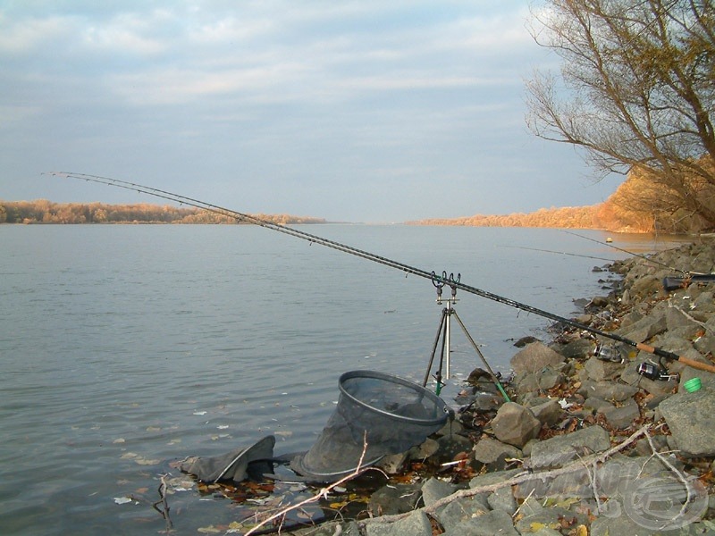 A kiszemelt helyszín