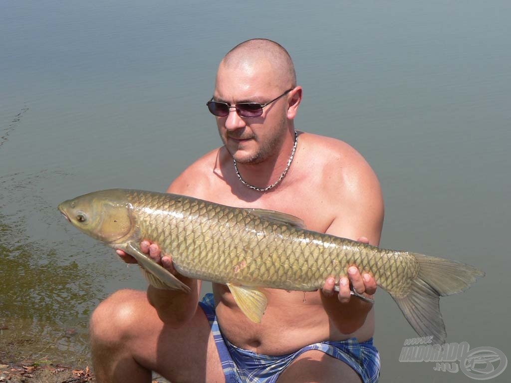 Váratlan bojlifaló, melynek súlya 6 kiló 80 deka volt