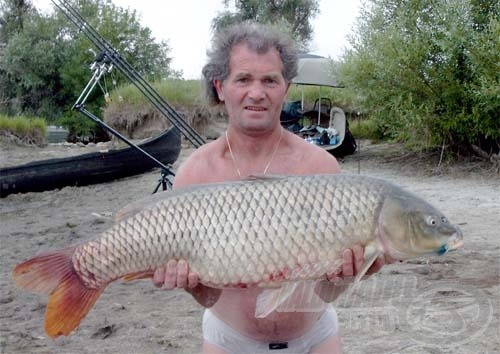 Az első, 12 kg-os dunai nyurga pontyot alig egy órai horgászat után sikerült kifogni