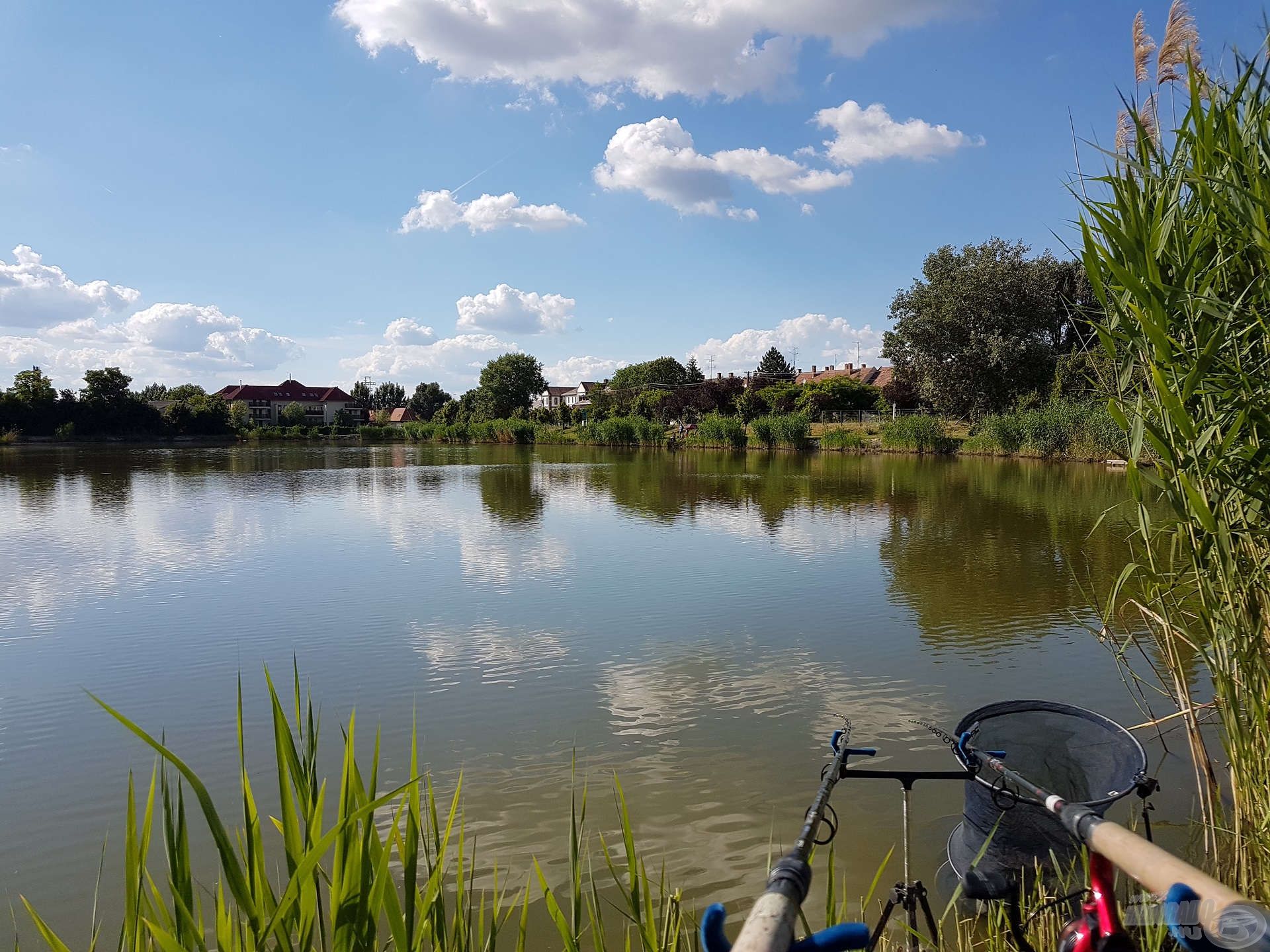 A záportározó újra a régi fényében tündököl, a kalocsai horgászok nem kis örömére