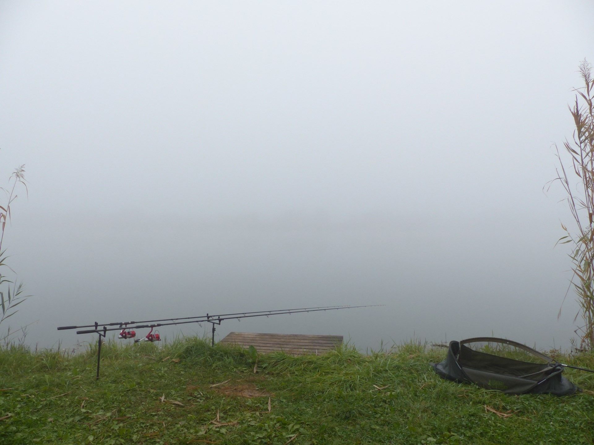 A kapástalan éjszaka után, reggel hatalmas köd fogadott, az orromig is alig láttam el