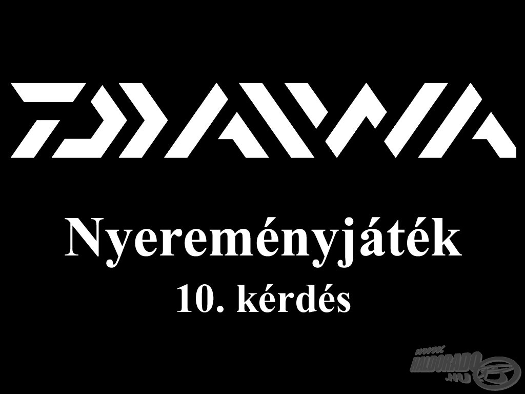 Karácsonyi ajándék a Daiwától?Daiwa-Cormoran nyereményjáték