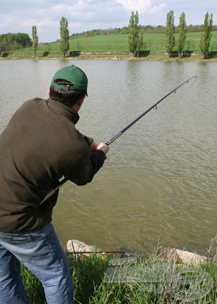 Terhelés alatt az EnergoTeam Silver Tele Carp IM 8-as carbon anyaga. A teleszkópos bot könnyen szállítható, hagyományos és bojlis fenekezéshez is kiváló.