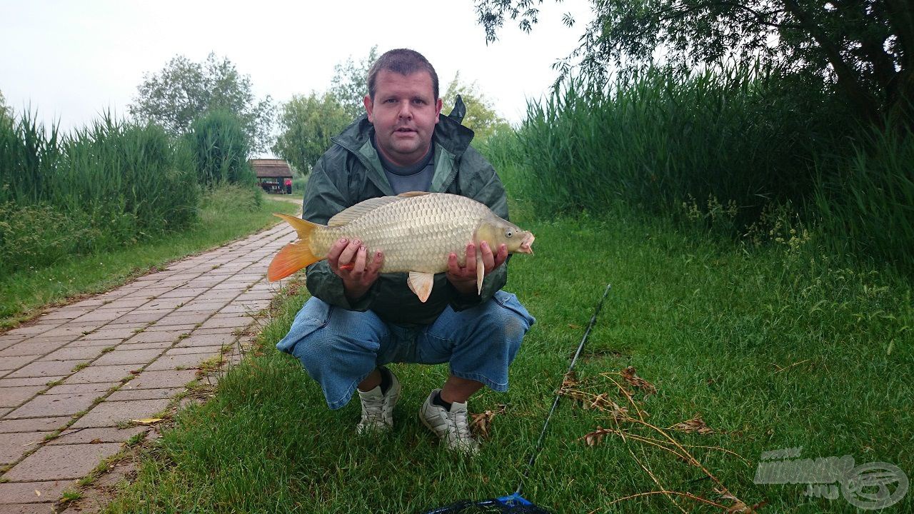 Ilyenek voltak a nagyobbak