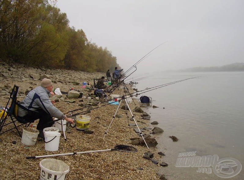 Nem horgászverseny, csak megy a hal a Dunán… :-)