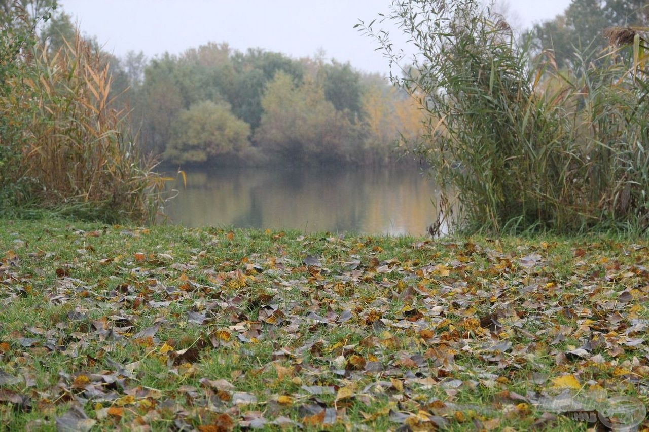 Imádok ősszel a vízparton lenni. Ugye milyen szép?