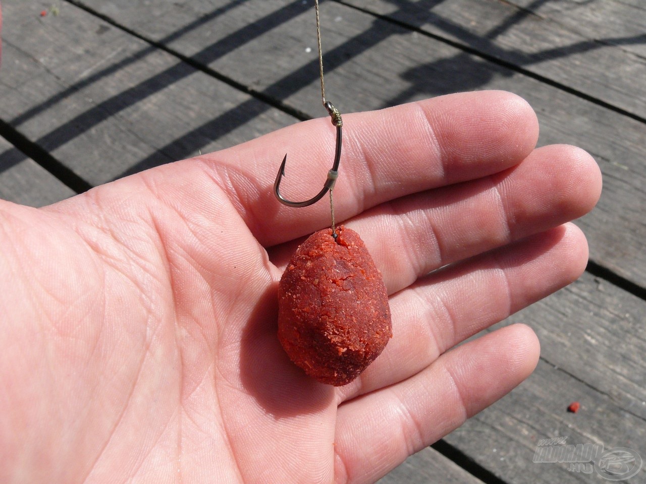 Nem hagytunk fel a kísérletekkel: Fűszeres Vörös Máj paszta, alatta egy szem halibut pellet, mindez Fűszeres Vörös Máj pop-uppal kikönnyítve…