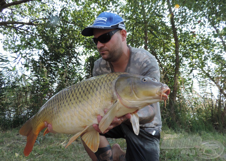 Gyönyörű, csodás példány, meghaladta a 11 kg-ot!