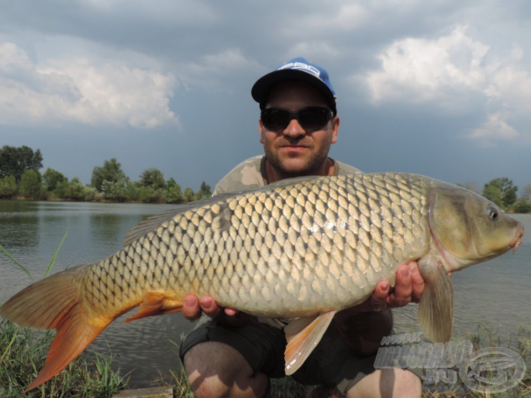 A közelgő viharban megfogott tőponty csaknem 8 kilós volt