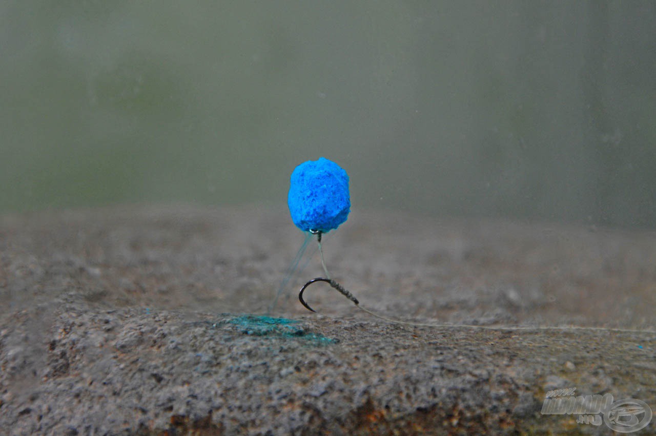 A 12 mm-es, kicsire faragott Kék Fúzió Fluo Oldódó Lebegő Pellet is remek csali. Eddigi legnagyobb tokhalamat köszönhetem neki!