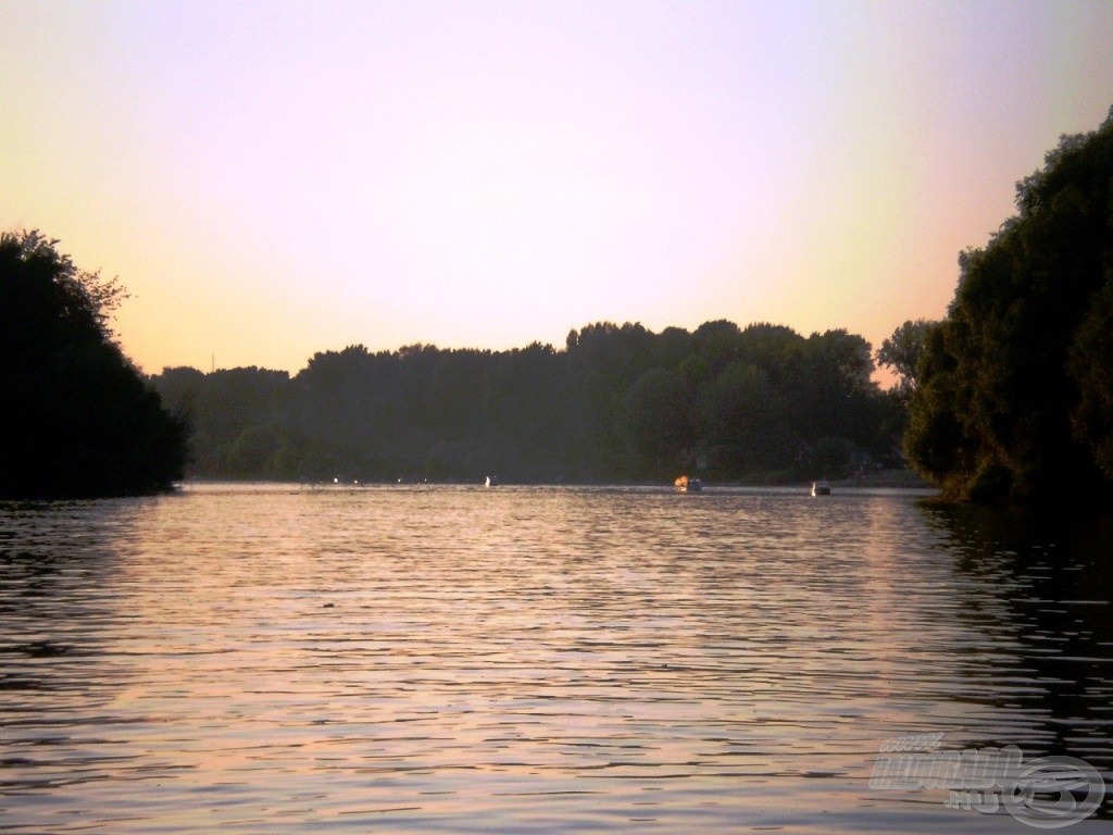 Nyáresti kép a torkolatról, a Tisza felé nézve