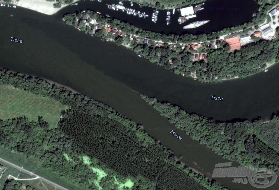 A két folyó színkülönbsége jelentős. Amikor a műholdas kép készült, a Maros tisztábbnak volt mondható (kép: Google Earth)