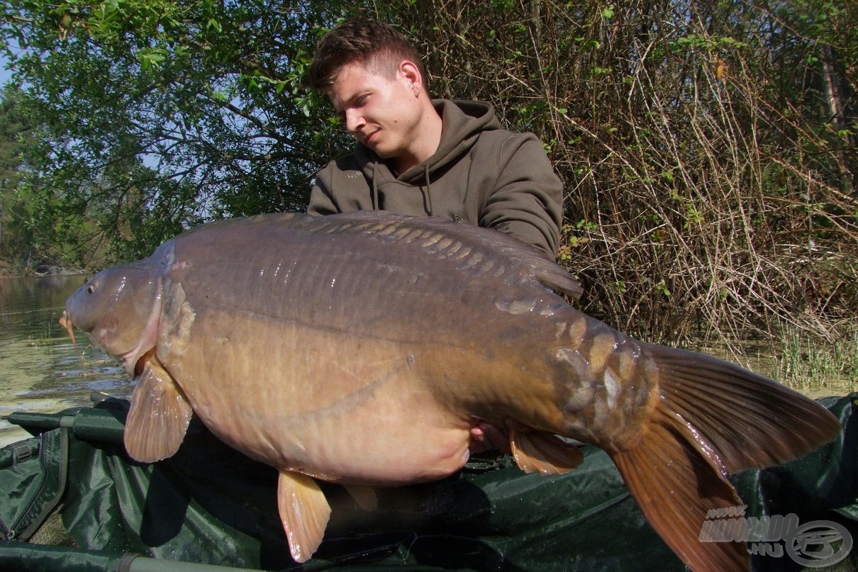  Gyönyörű tükrös a 25 kg felettiekből