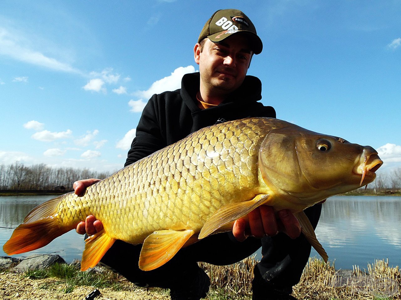 Hibátlan, egészséges nyurga, 10,20 kg