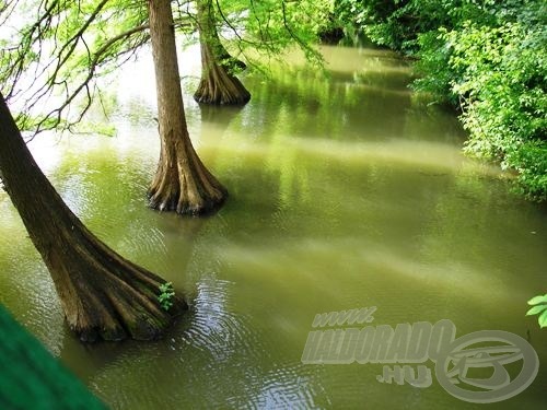 Kákafokon gyönyörű faszobrok állnak a vízben, de borzasztóan horogmarasztalók