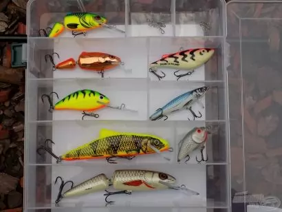 Köszöntünk a Salmo világában: a Salmo Master's Selection