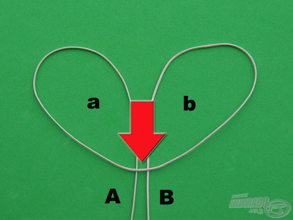Hajtsuk vissza a duplán vett damilt a kép szerint. Így létrejön két hurok, az „a” és a „b”