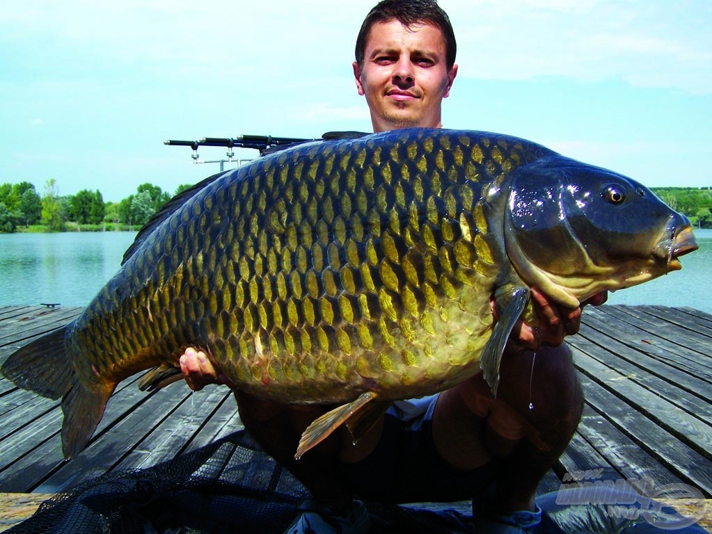 Választásom egyik oka, hogy ennek a csalinak köszönheti csapattársam, András ezt a gyönyörű és hibátlan 19 kg-os bányatavi tőpontyát