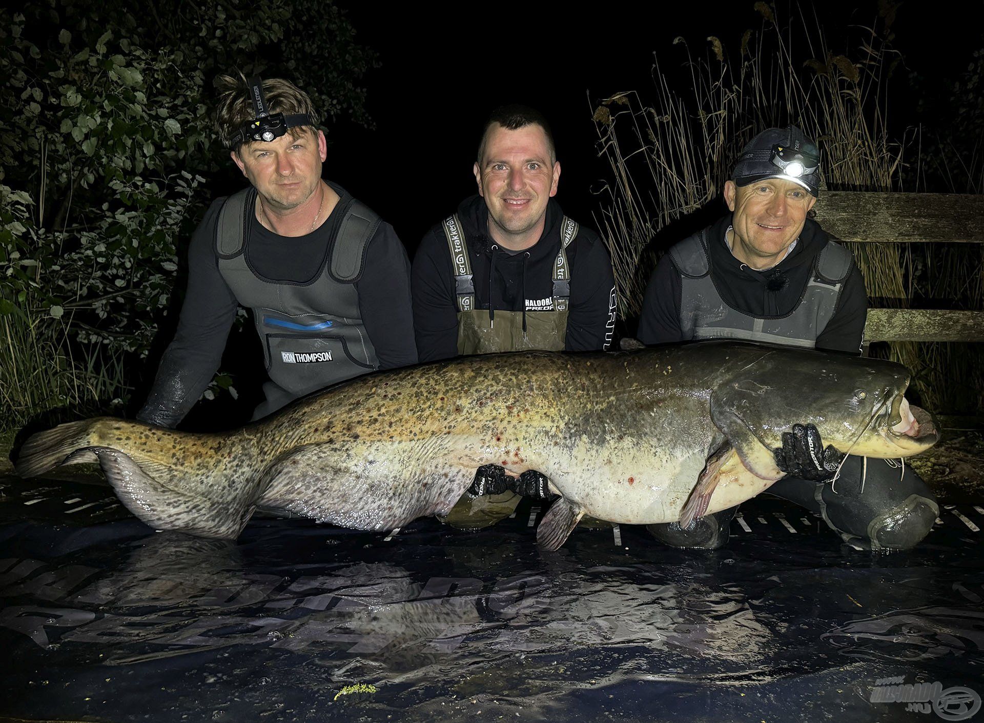 2. BUMM 200+ cm – csapatunk második 2 méter feletti harcsája: 202 cm, 59 kg