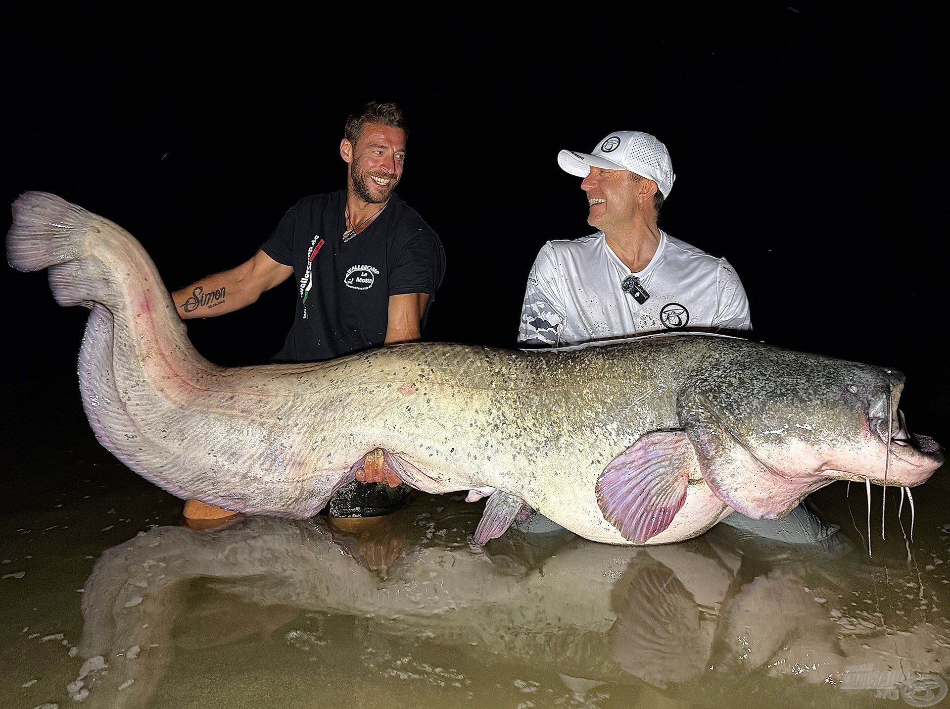 Hatalmas csata után, az éjszaka sötétjében sikerült ezt a fenséges, 230 cm hosszú harcsát megfogni