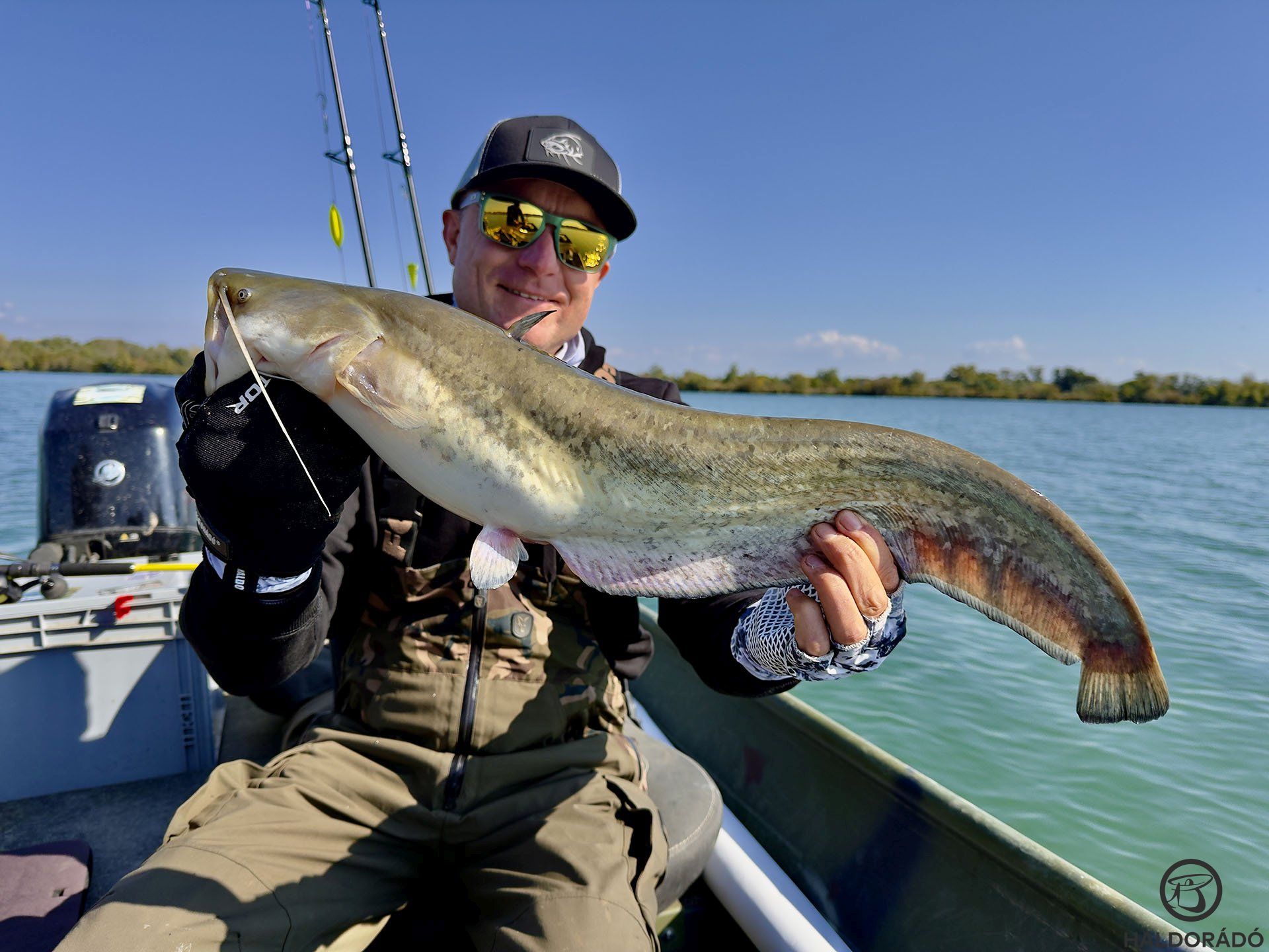A negyedik nap tudtam végre egy kisharcsát fogni