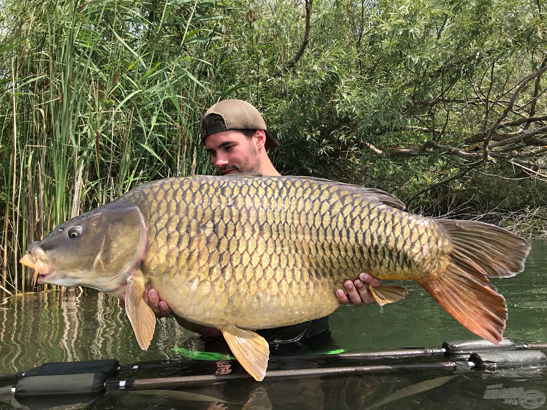 21,8 kg-os, hibátlan tőponty!