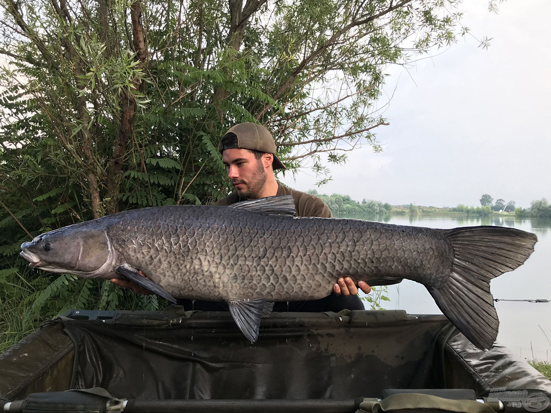 Az élmény és az örömöm leírhatatlan, kezemben tarthattam Lőkösháza egyik fekete gyémántját, amely 22,1 kg-ot nyomott!