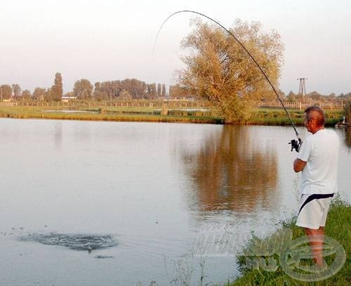 Az amur rendkívül jó harcos, matchbottal, vékony zsinórral igazi élvezet, de egyben komoly türelemjáték is a fárasztása